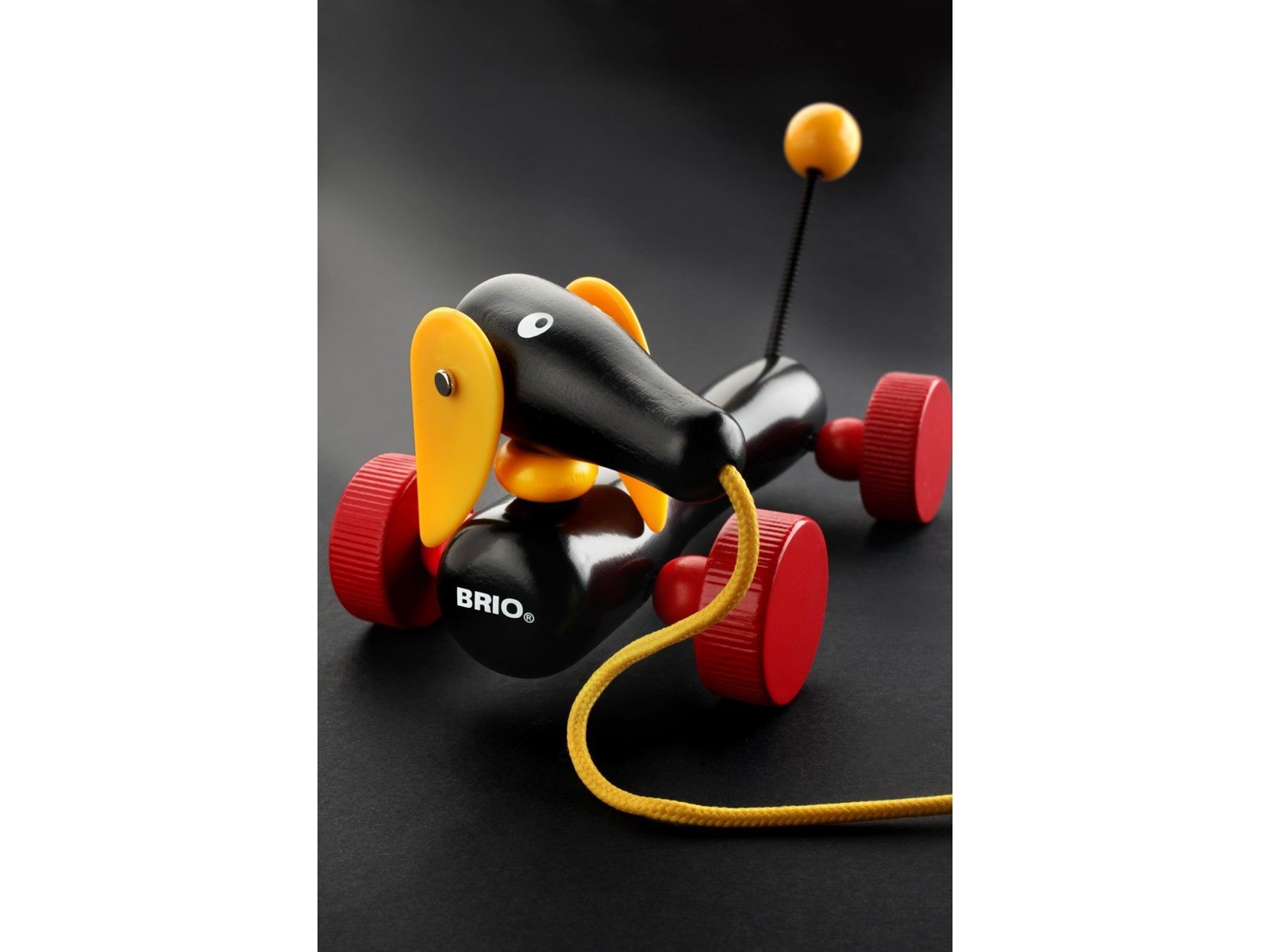 Brio Dachshund