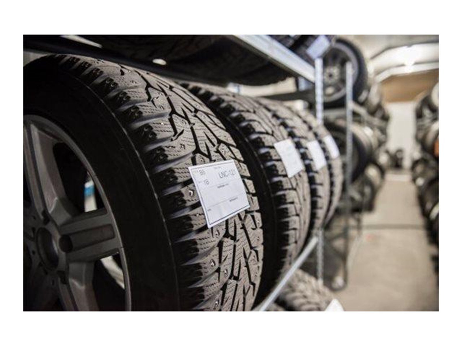 Brother - die cut tyre labels - 2500 label(s) - 100 x 73.2 mm