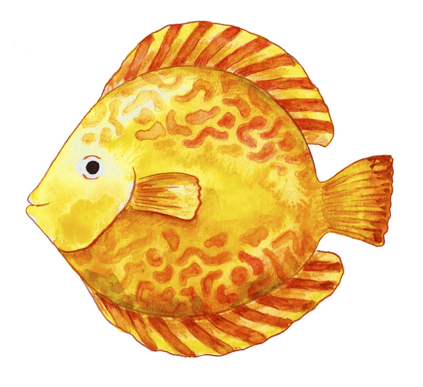 FABER-CASTELL Aquarellstifte Mehrfarbig