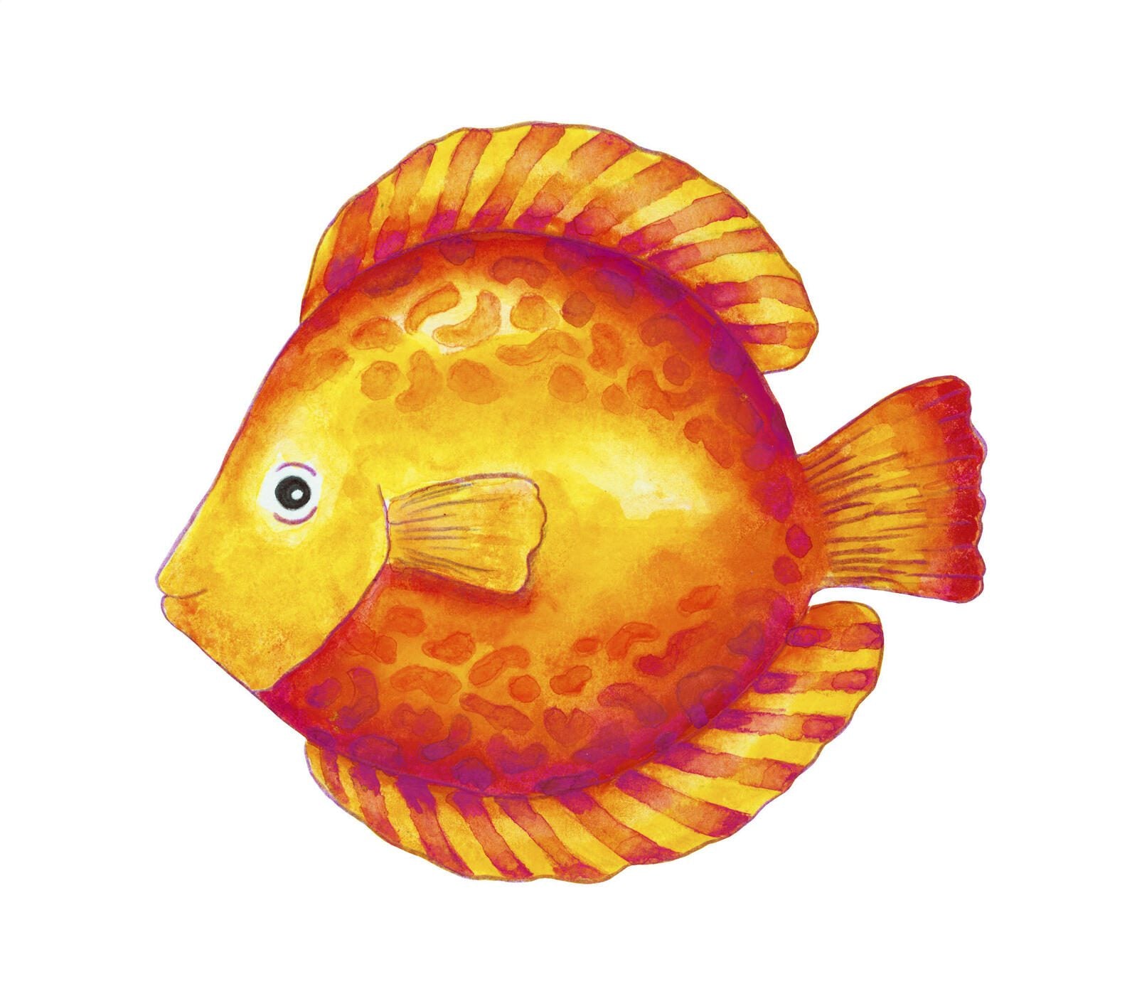 FABER-CASTELL Aquarellstifte Mehrfarbig