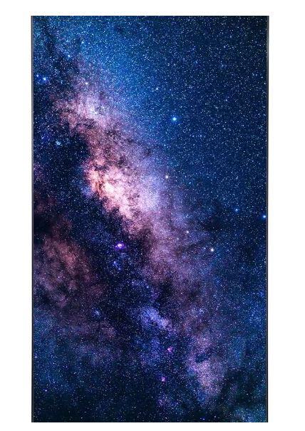 LG 55EF5K-P Digital Signage Flexible Curved Open Frame OLED Display 140 cm 55 Zoll