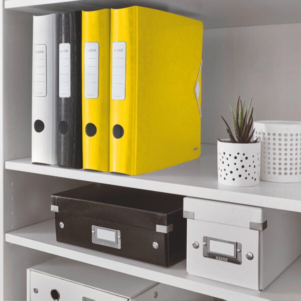 LEITZ Ordner Rückenbreite 6.5 cm DIN A4 Kunststoff gelb