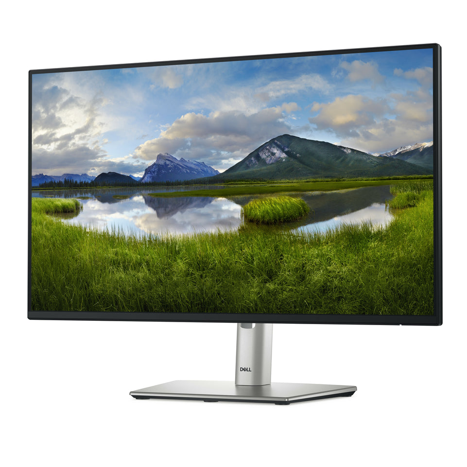 Dell 61.0cm (24")   P2425HE 16:9 HDMI+DP+USB-C+VGA IPS Lift reta