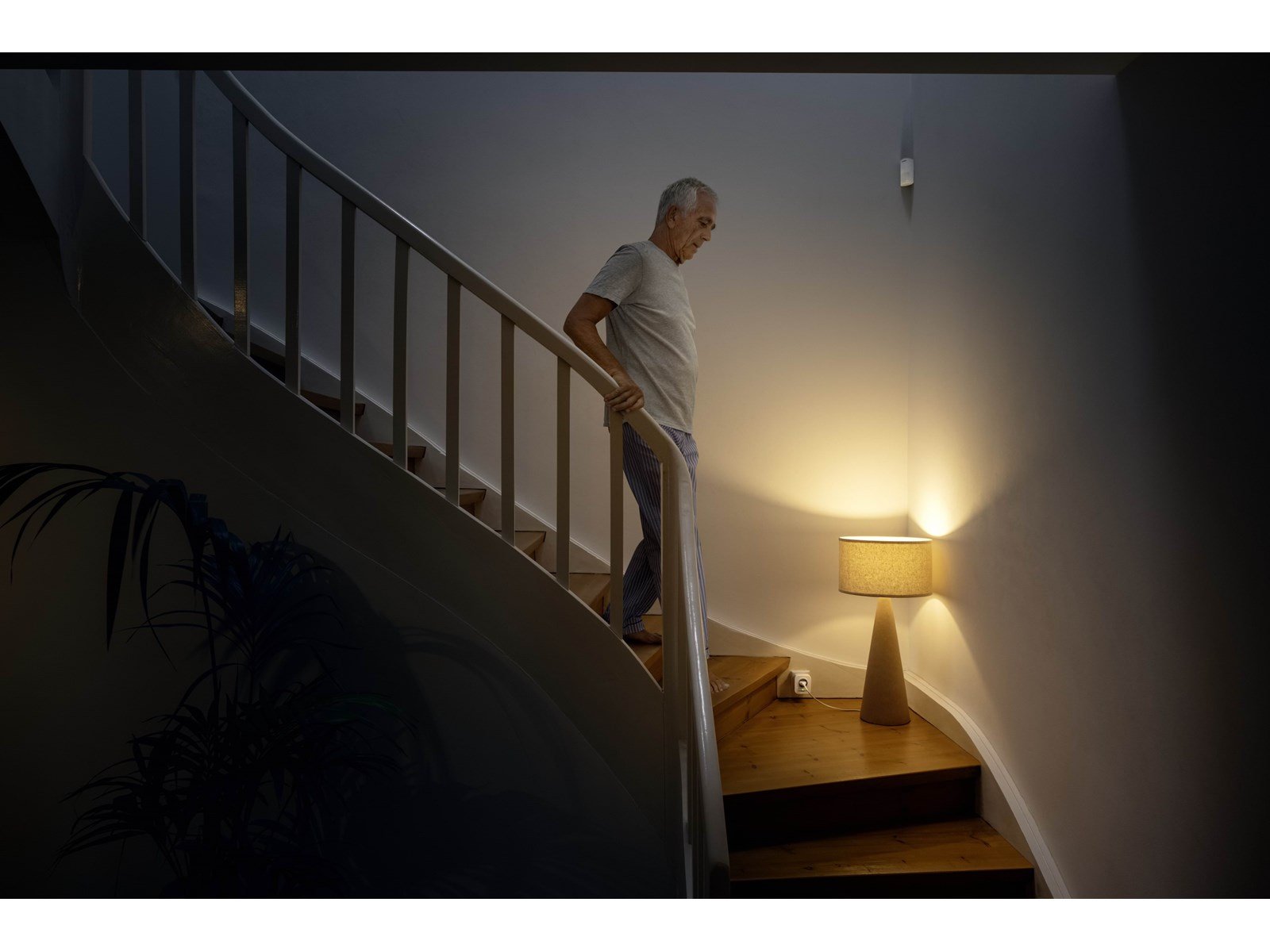 Bosch Smart Home BSP-FZ2