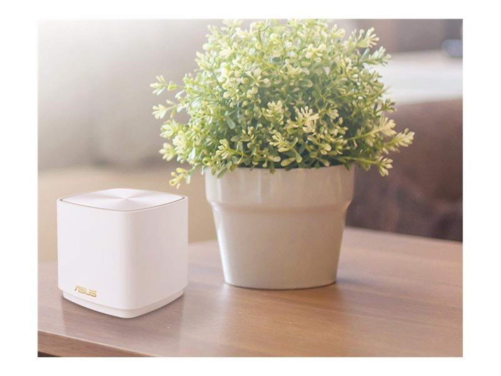 ASUS ZenWiFi XD5 2 pack White - Mesh router Wi-Fi 6