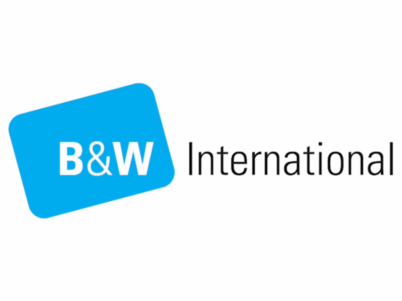 B&W International RPD/3000 - padded divider set for carrying case