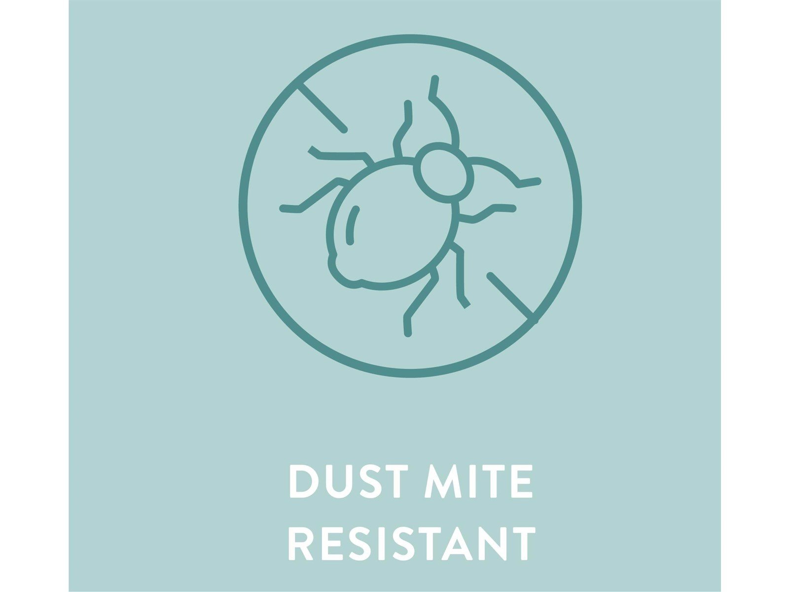 BabyDan DreamSafe (40x84 cm) Cradle