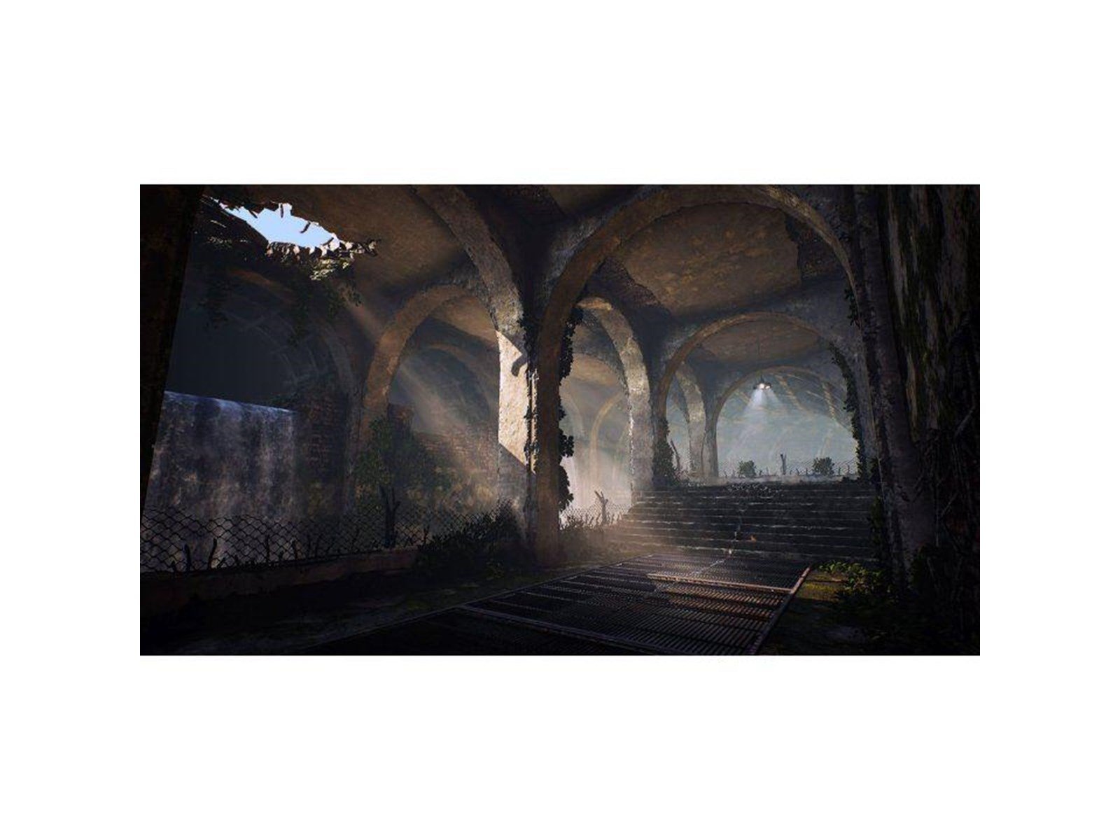 Biomutant - Nintendo Switch - RPG - PEGI 12