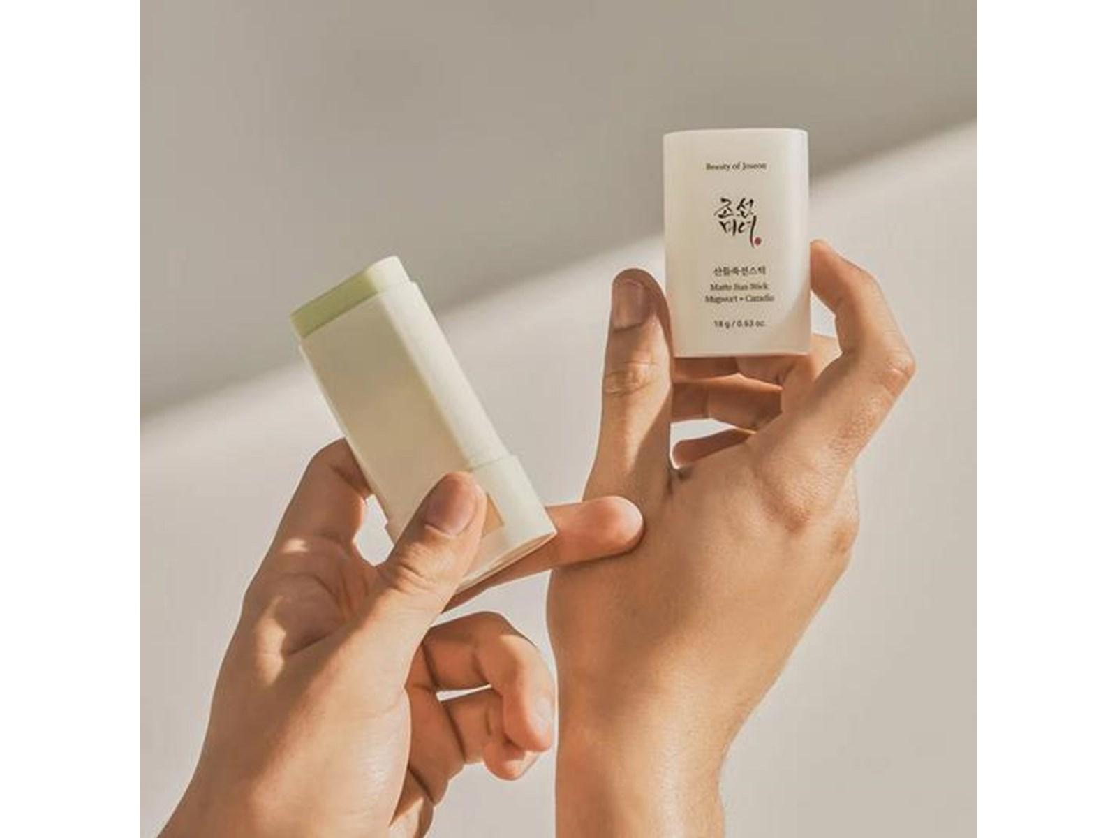 Beauty of Joseon - Matte Sun Stick Mugwort + Camelia SPF 50+ PA++++