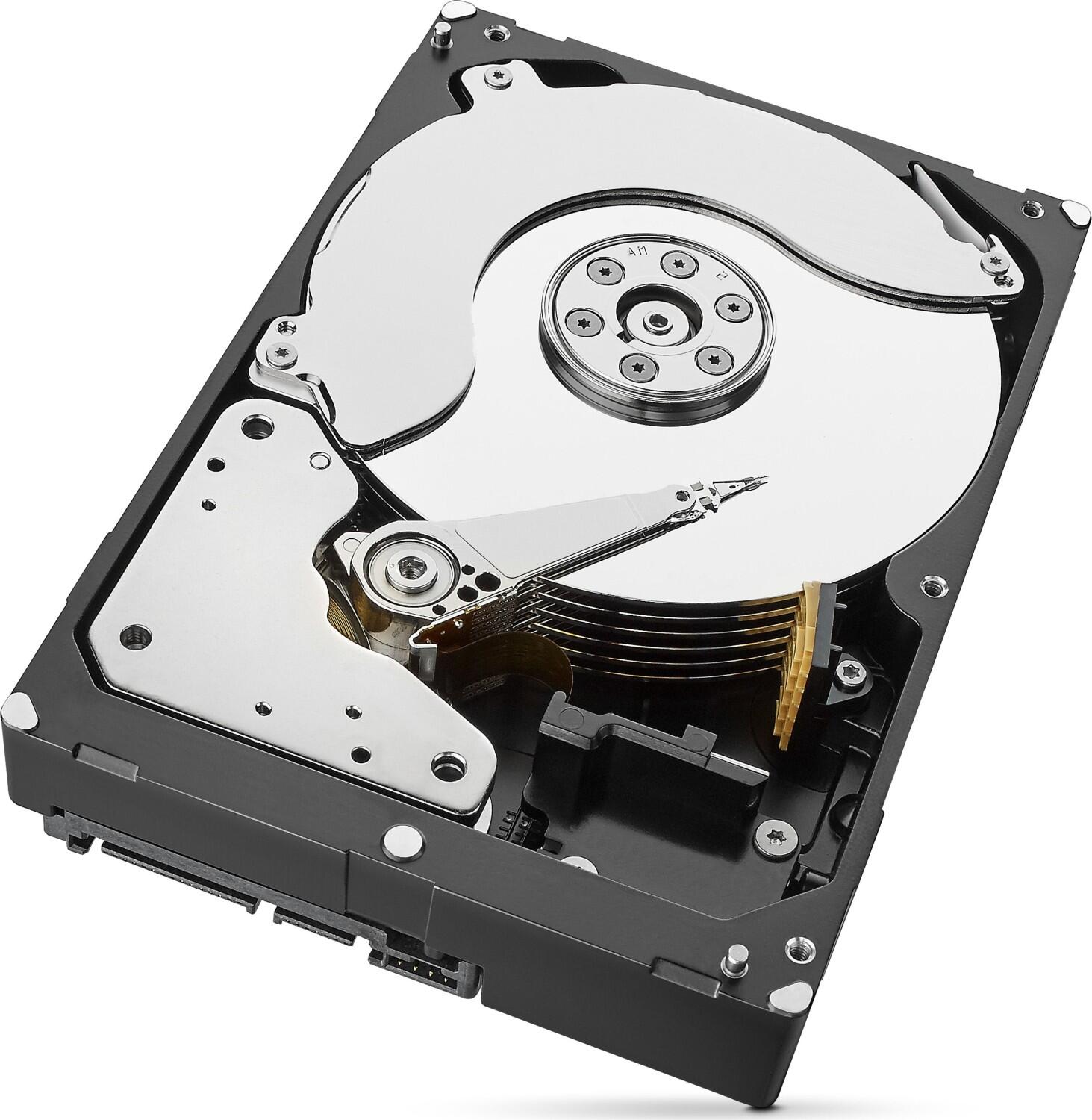 Seagate Exos 7E8 - 8TB