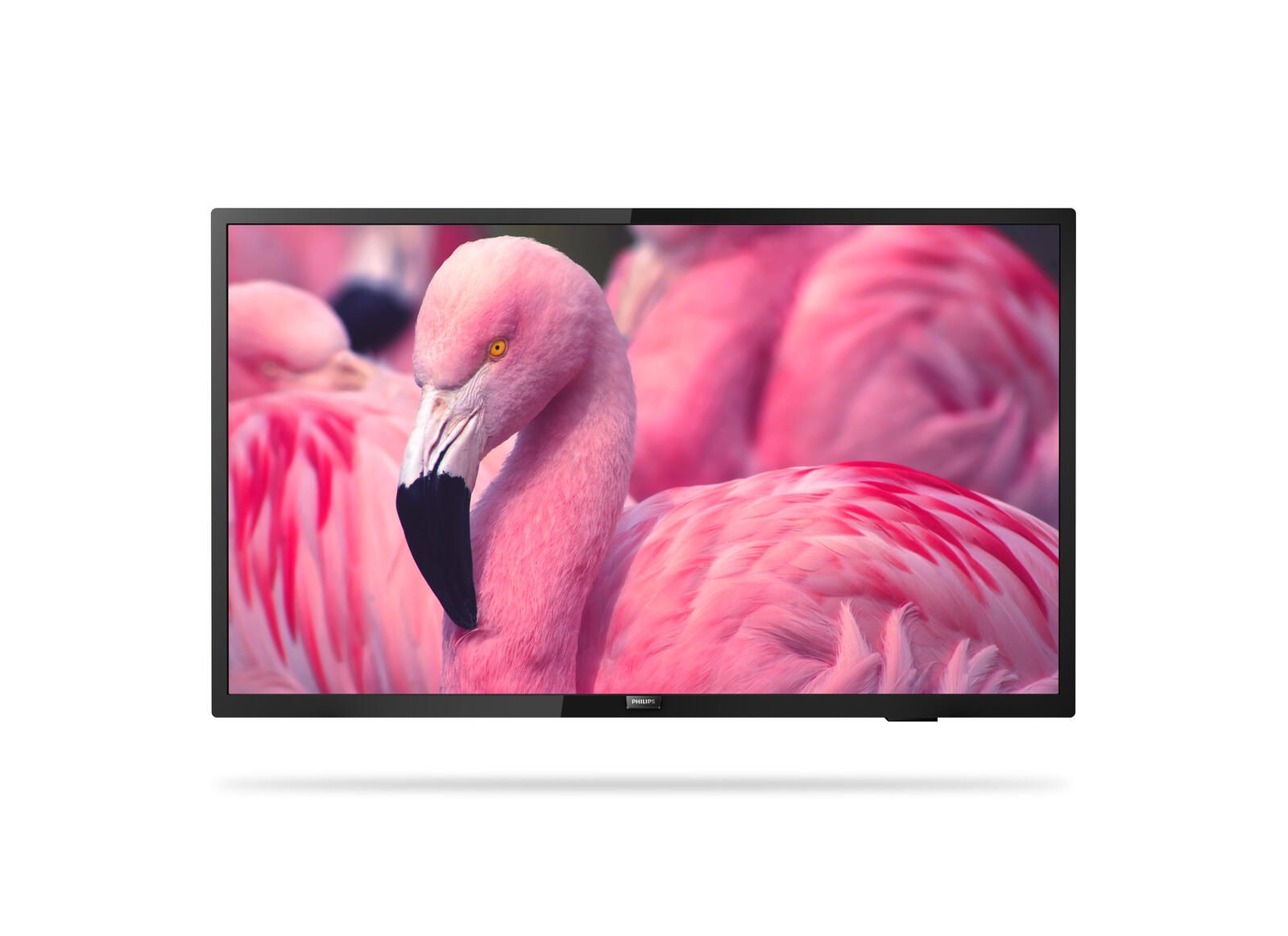 Philips PrimeSuite 32HFL4014 Professional Hotel-TV 80 cm (32 Zoll)