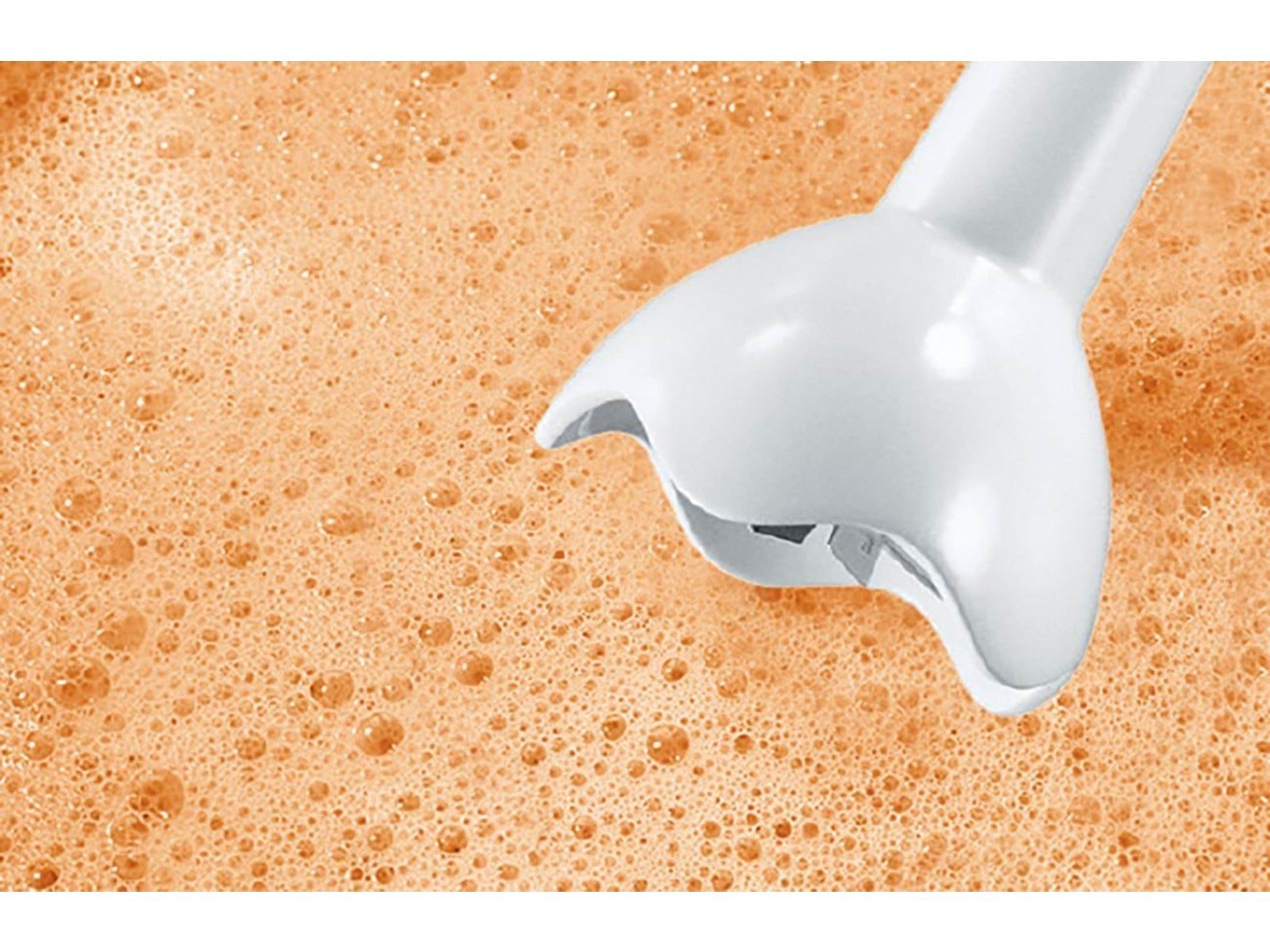 Bosch Stabmixer MSM6B100 - 280 W