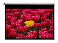 Optoma DE-9120EGA motorisierte Leinwand für Wand-/Deckenmontage, 16:9, (120') 305 cm