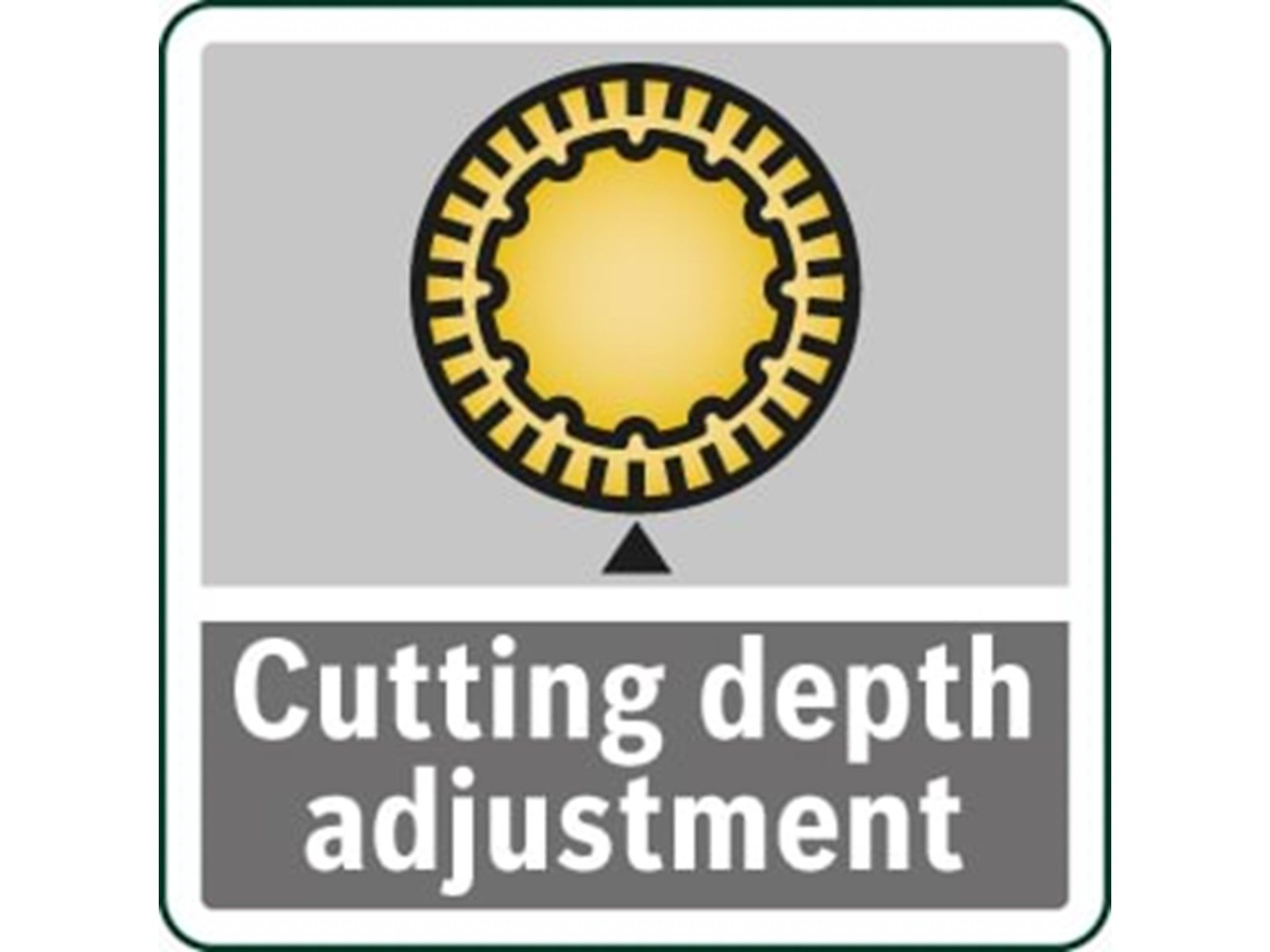 Bosch PHO 3100 i.K.              gn