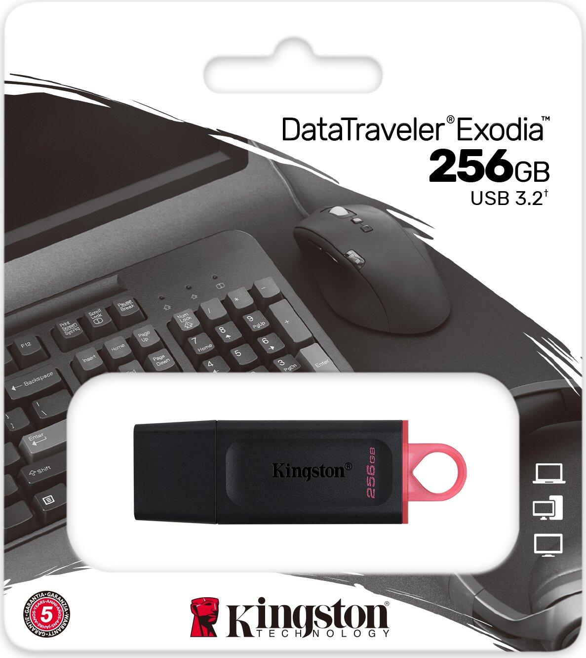 Kingston DataTraveler Exodia - 256 GB