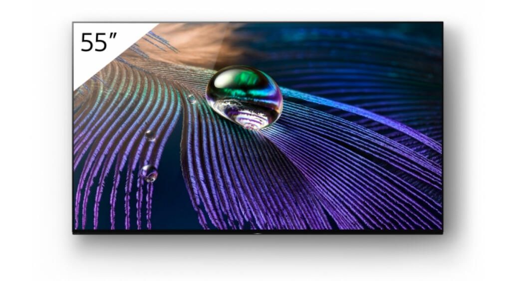Sony Bravia MASTER FWD-55A90J Professional Display 139cm (55')