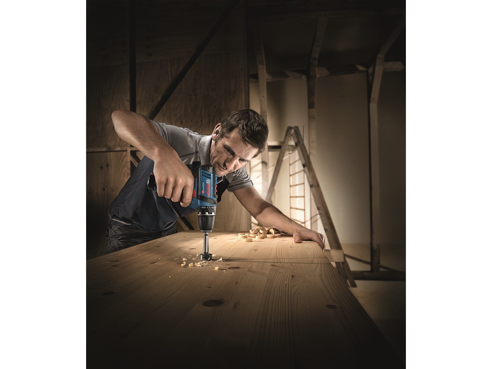 Bosch Professional Blue bosch 12v screwdriver gsr 12v-15 2x2.0ah in cardbox