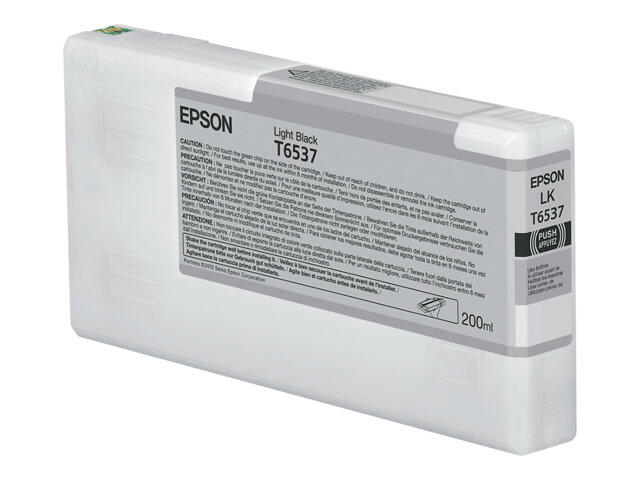 Epson Original UltraChrome Druckerpatrone schwarz hell 200ml (C13T653700)