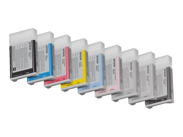 Epson Original T6039 Druckerpatrone schwarz hell hell 220ml (C13T603900)