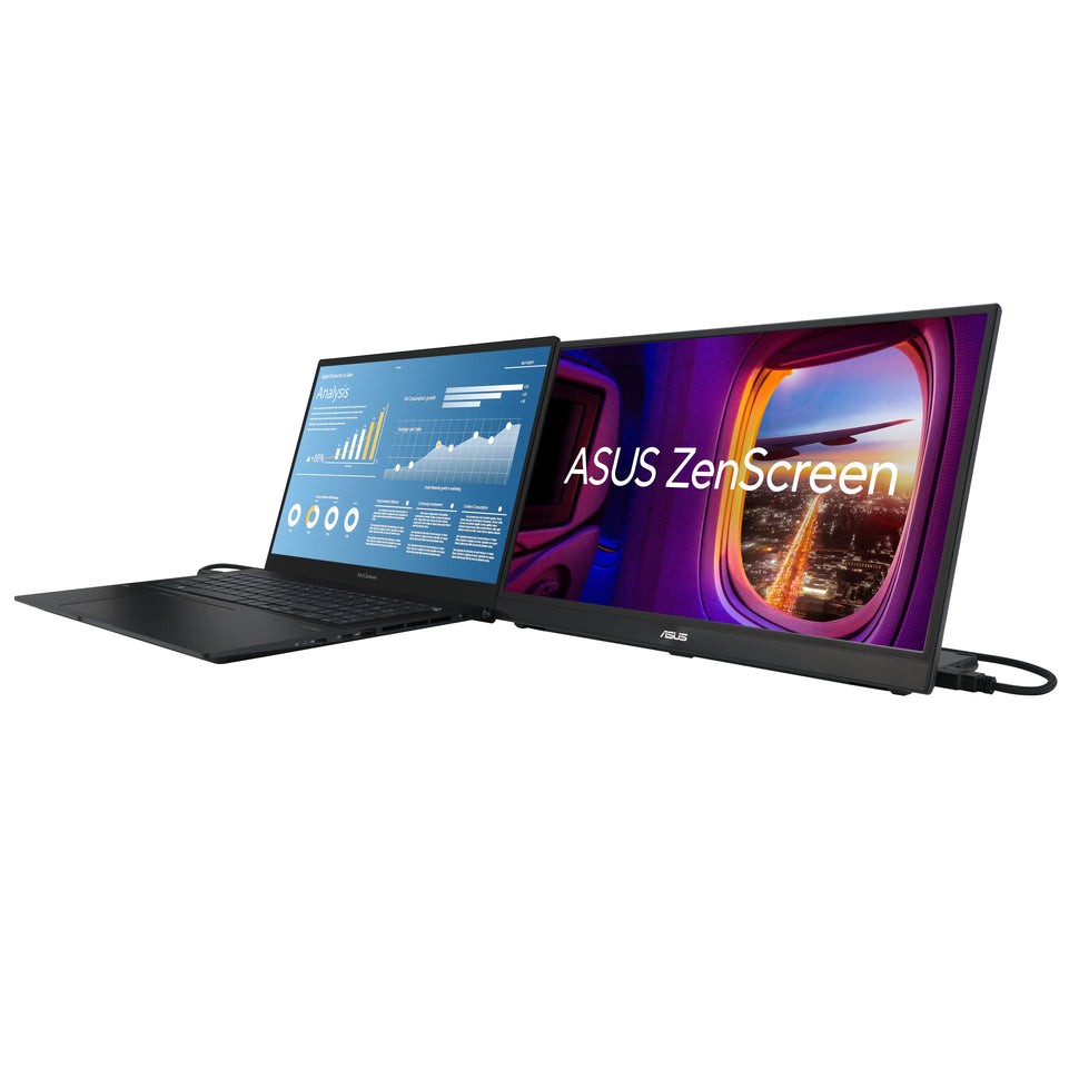 ASUS ZenScreen MB17AHG 43,84 cm (16:9) FHD HDMI