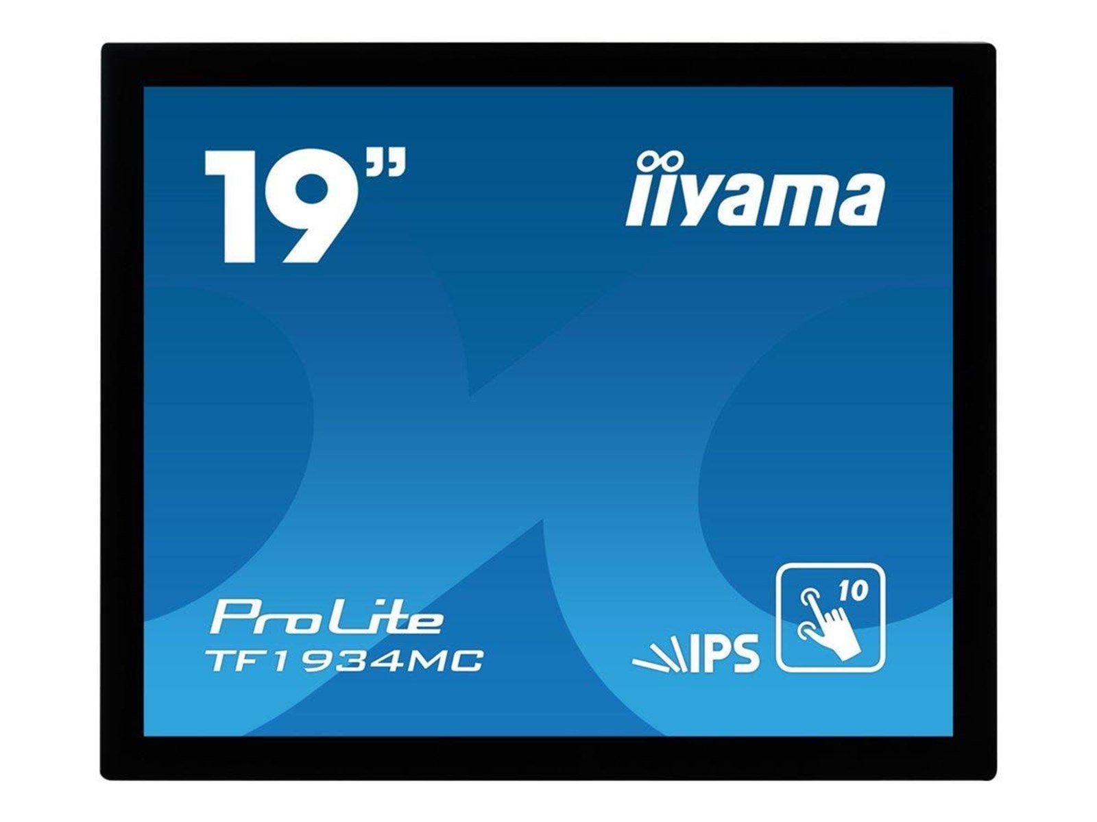 19