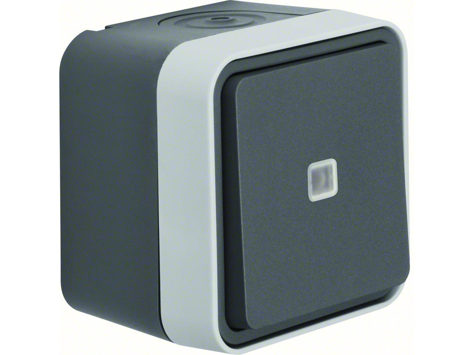 Berker Illuminated change over switch lens grey w1