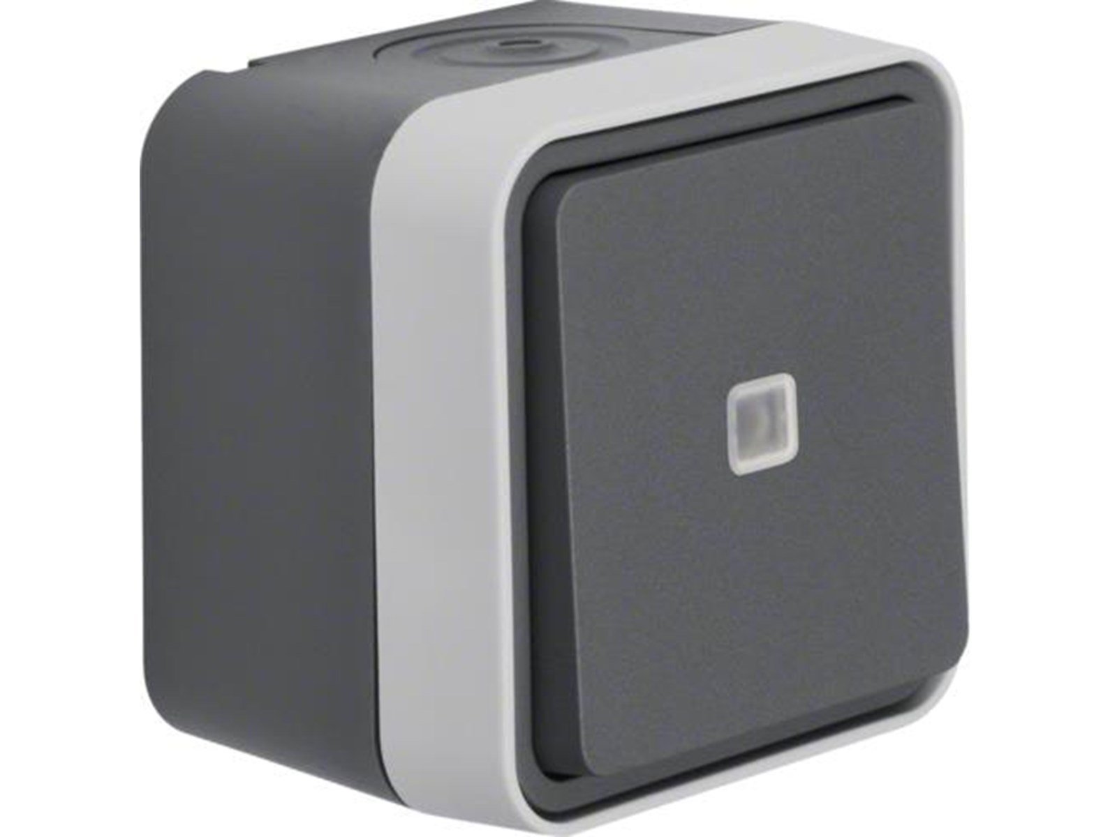 Berker Illuminated change over switch lens grey w1