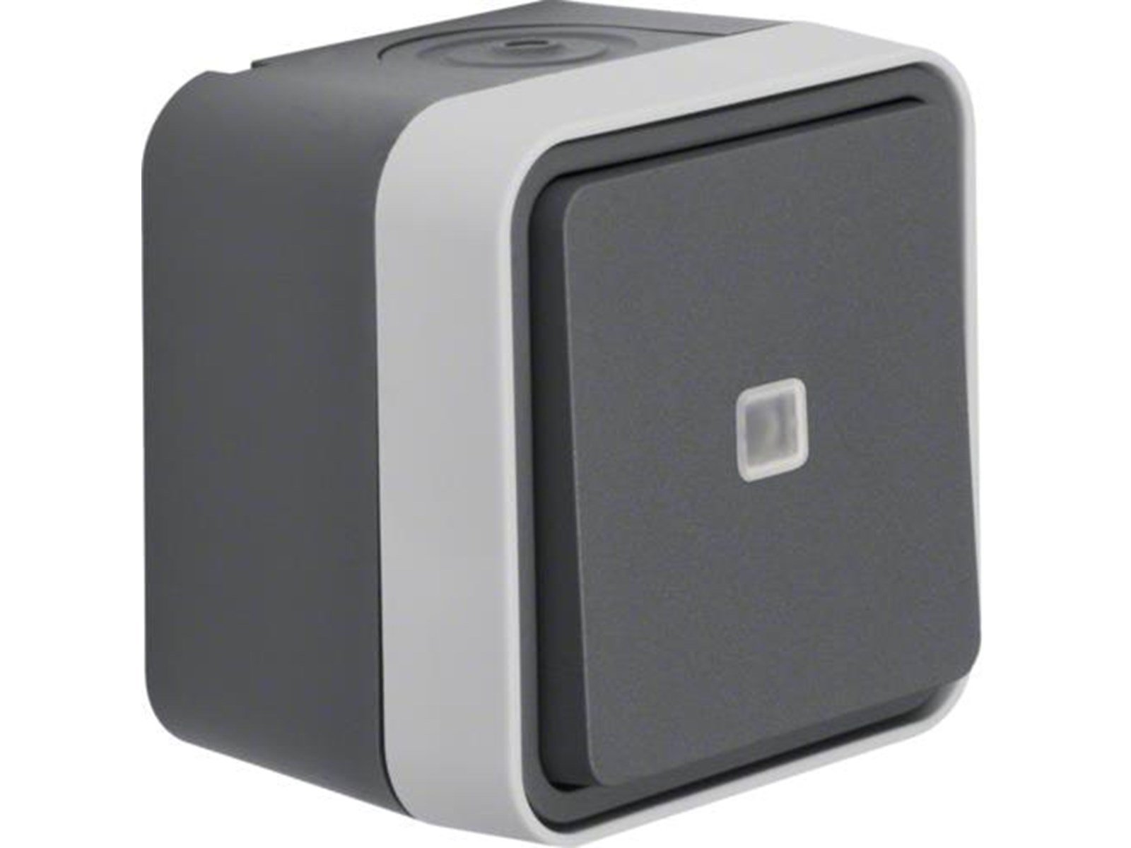 Berker Illuminated change over switch lens grey w1