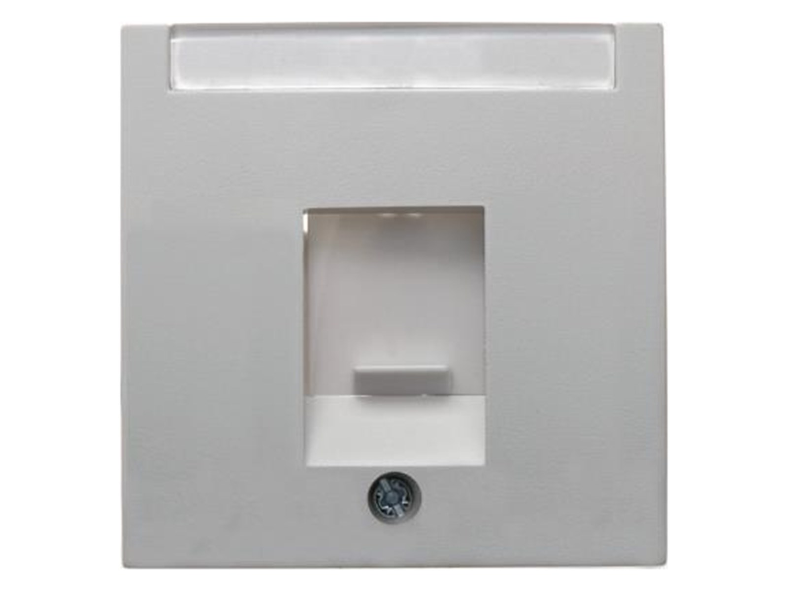 Berker Centre plate with dust protection polar white