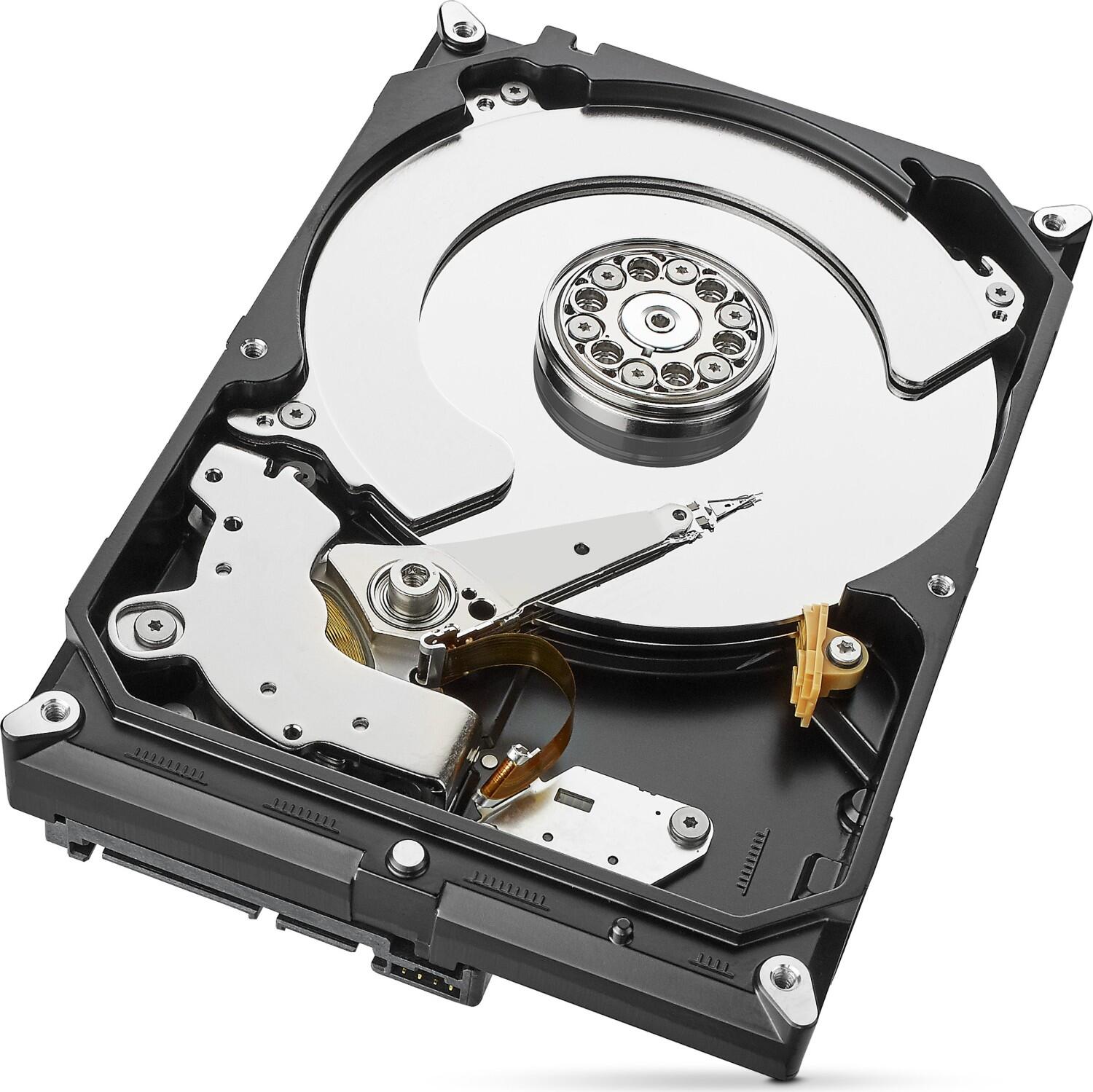 Seagate SkyHawk +Rescue - 4TB