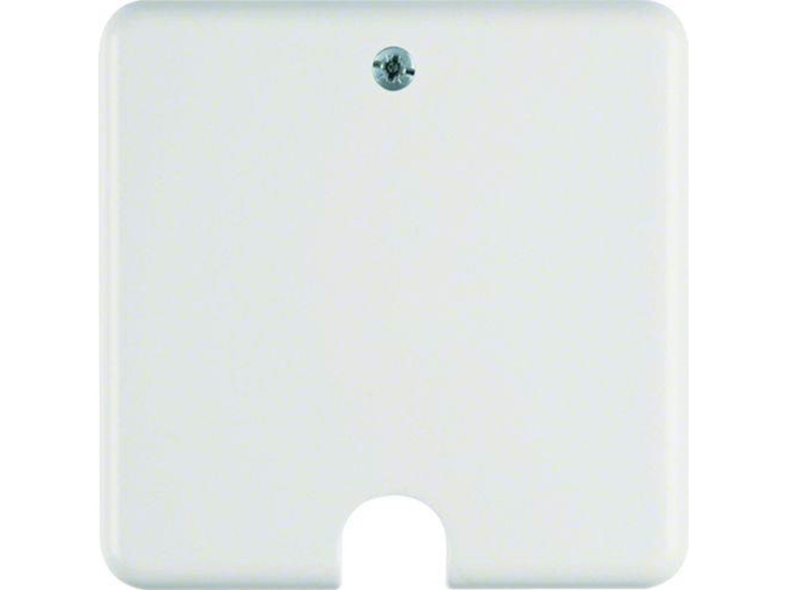 Berker Electric range connection polar white