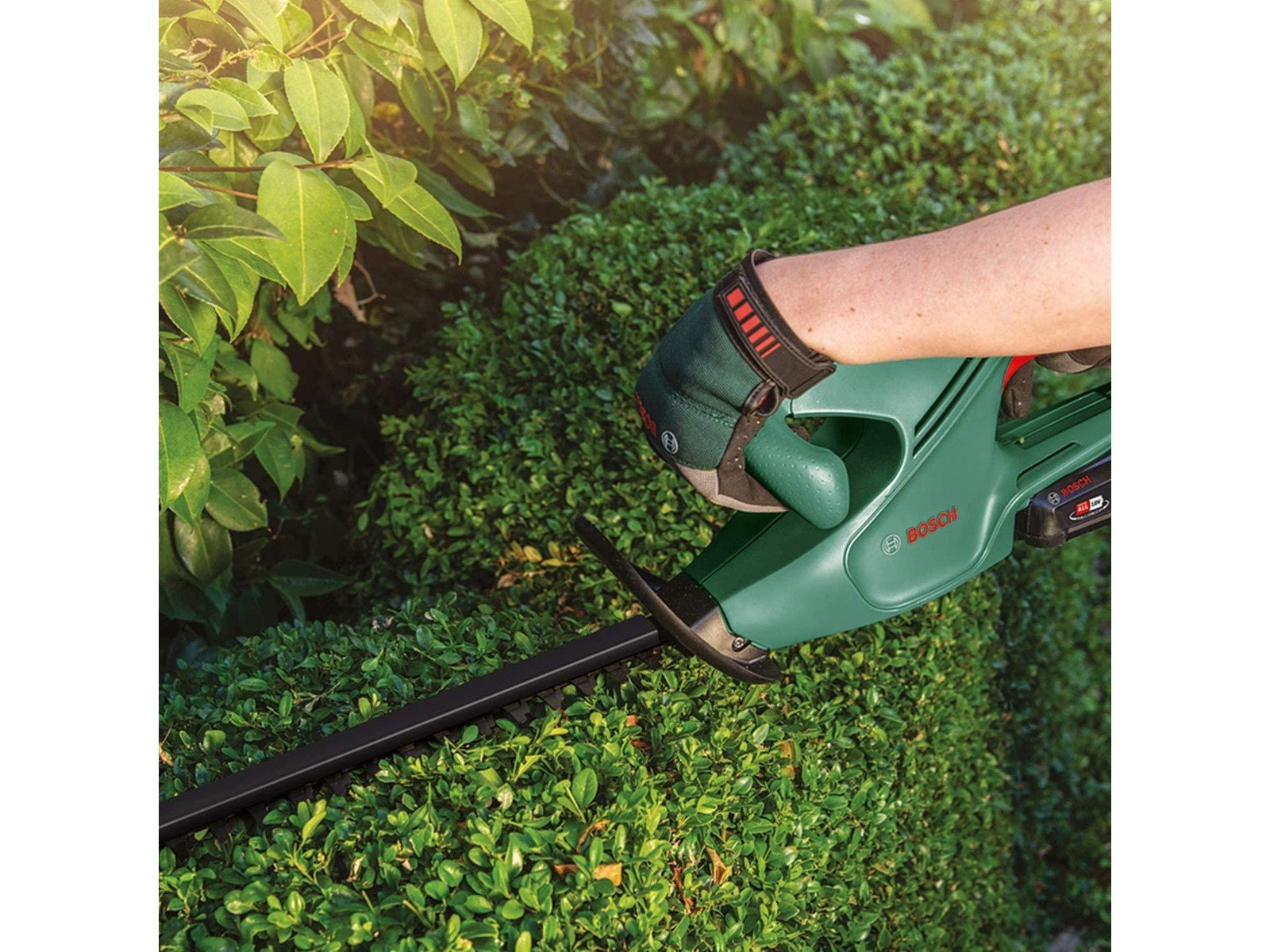 Bosch EasyHedgeCut 18-45 + Charger + 2.0 Ah Battery