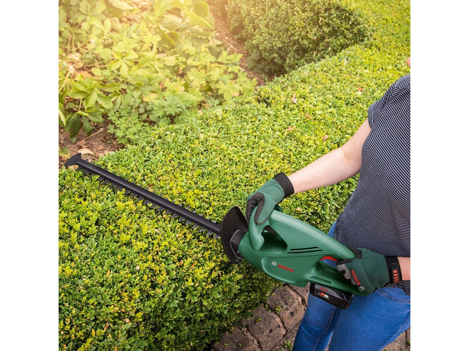 Bosch EasyHedgeCut 18-45 + Charger + 2.0 Ah Battery