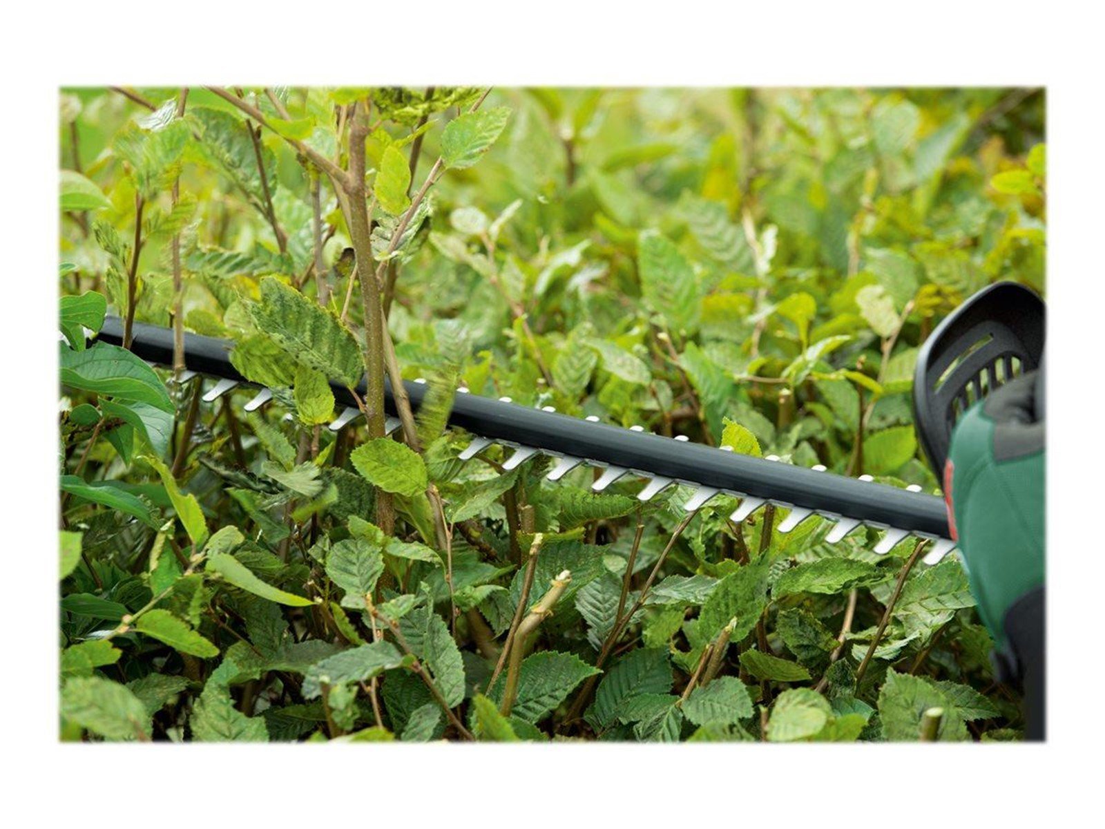 Bosch UniversalHedgeCut 50 (SOLO)