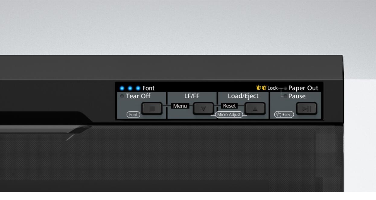 Epson LQ-690IIN Nadeldrucker