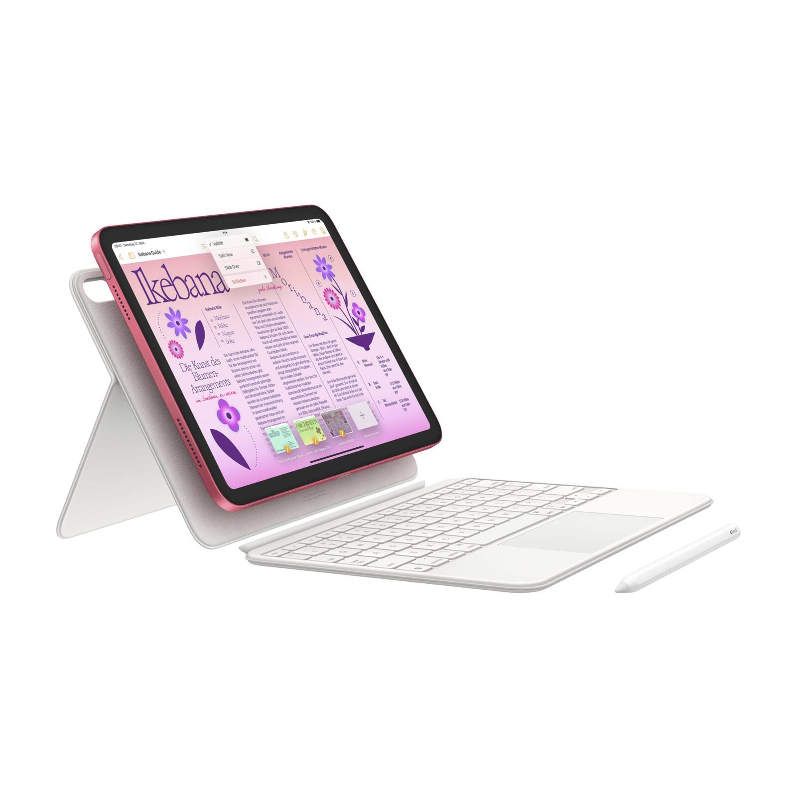 Apple iPad 10. Generation + Cellular 27,69cm (10,9') 256GB pink