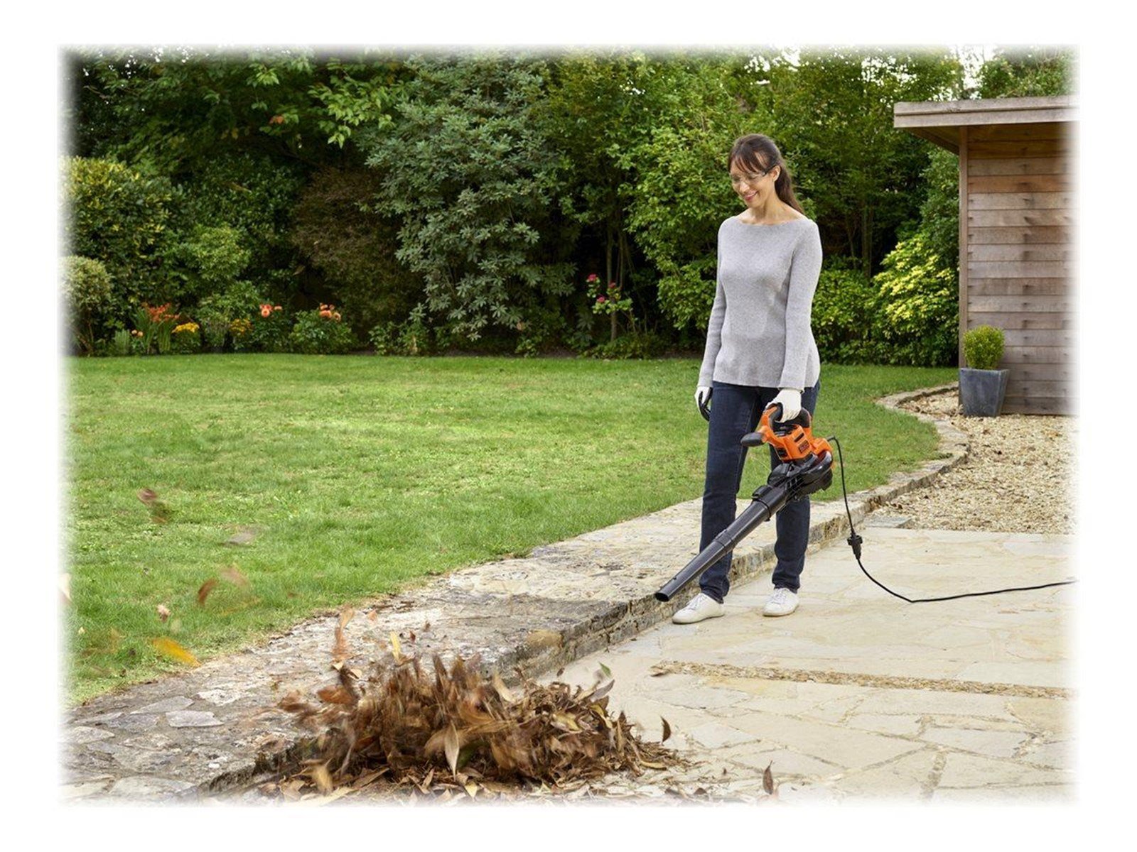 Black & Decker BEBLV300-QS