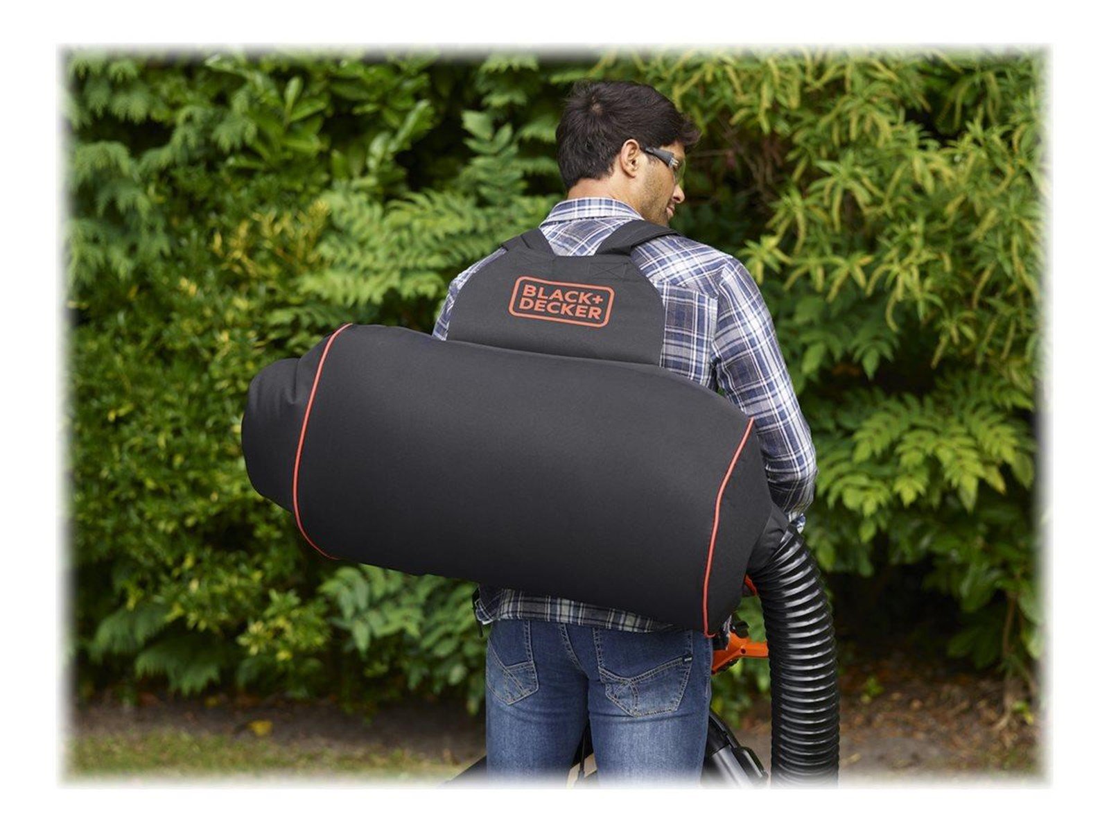 Black & Decker BEBLV300-QS