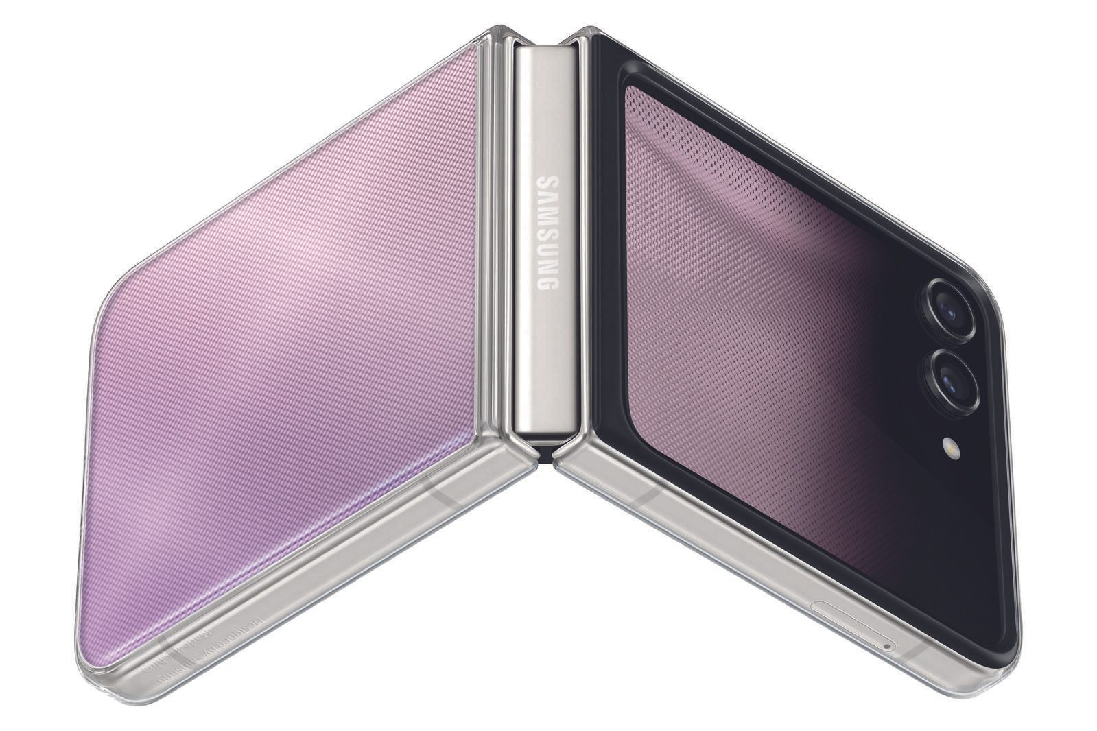 FlipSuit Case für Galaxy Z Flip5 (Transparent)