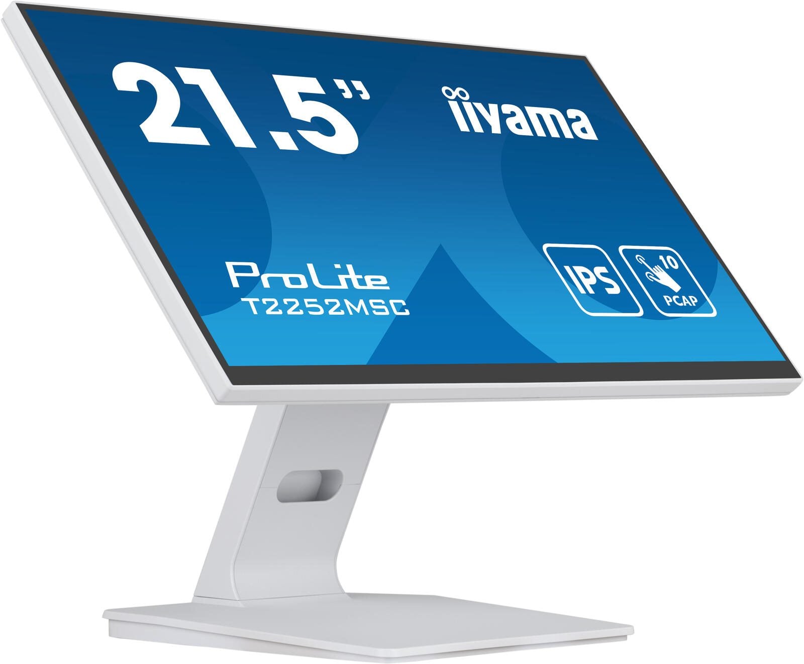 iiyama ProLite T2252MSC-W2 Touch-Monitor 54.5cm (21.5') weiß
