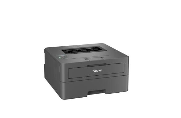 Brother HL-L2447DW Laserdrucker s/w