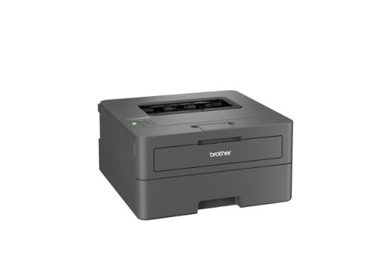 Brother HL-L2445DW Laserdrucker s/w