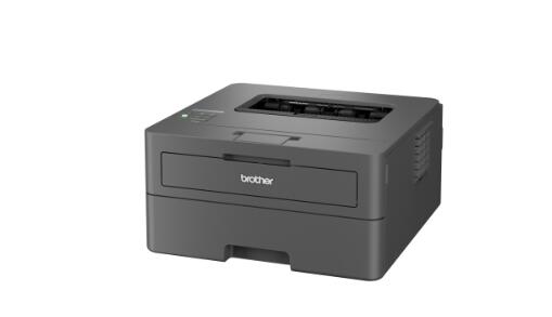 Brother HL-L2445DW Laserdrucker s/w