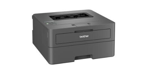 Brother HL-L2400DW Laserdrucker s/w