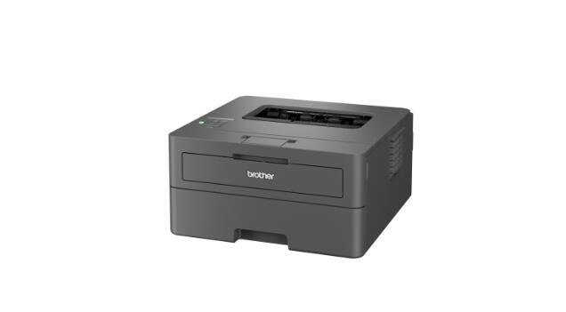 Brother HL-L2400DW Laserdrucker s/w