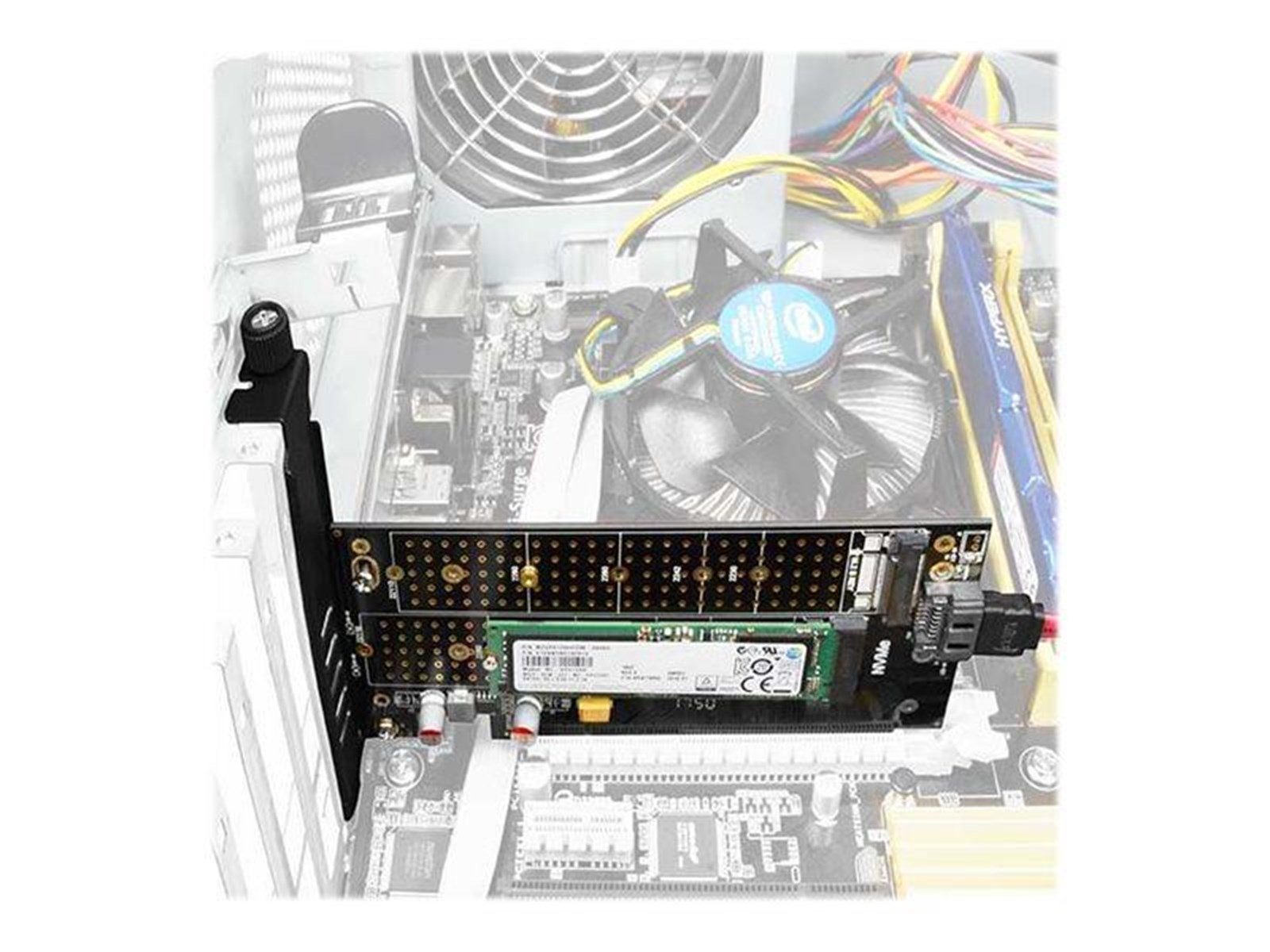 AXAGON PCEM2-D - storage controller - M.2 NVMe Card / SATA 6Gb/s - PCIe 3.0 x4