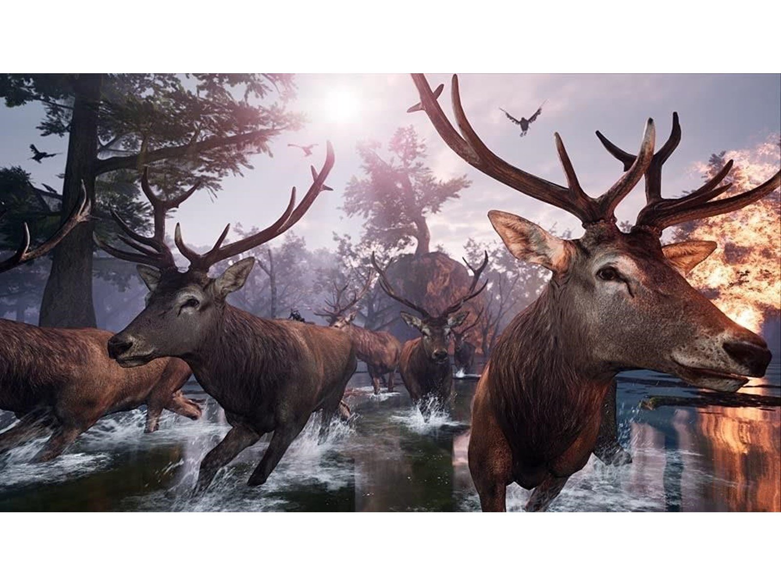 Away: The Survival Series - Sony PlayStation 5 - Abenteuer - PEGI 12