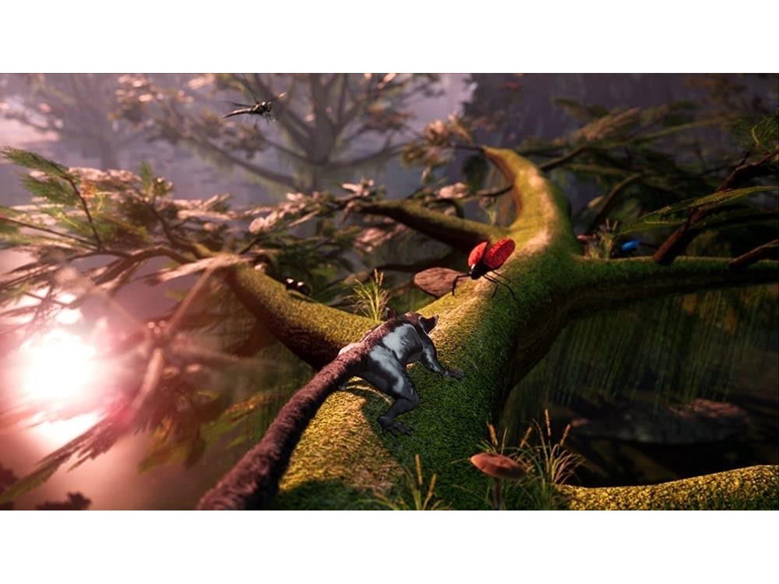 Away: The Survival Series - Sony PlayStation 5 - Abenteuer - PEGI 12