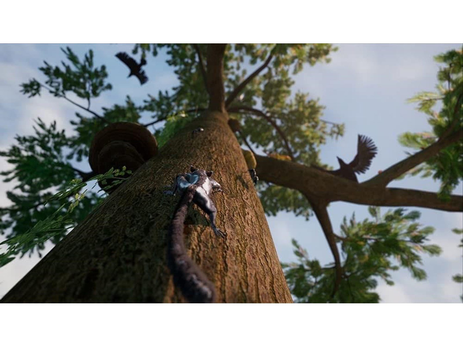 Away: The Survival Series - Sony PlayStation 4 - Abenteuer - PEGI 12