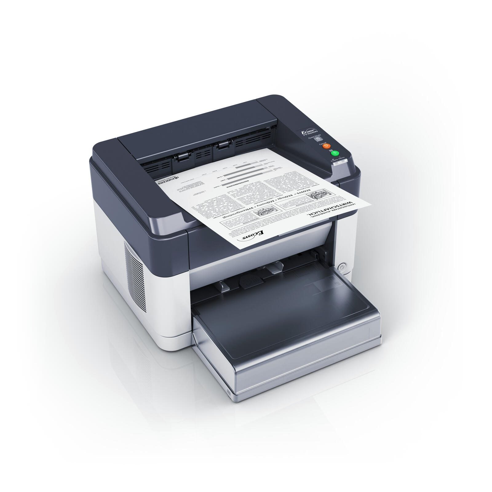 KYOCERA Klimaschutz-System ECOSYS FS-1061DN Laserdrucker s/w